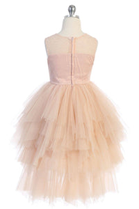 Vintage Rose Detachable Skirt Dress Embellished Applique