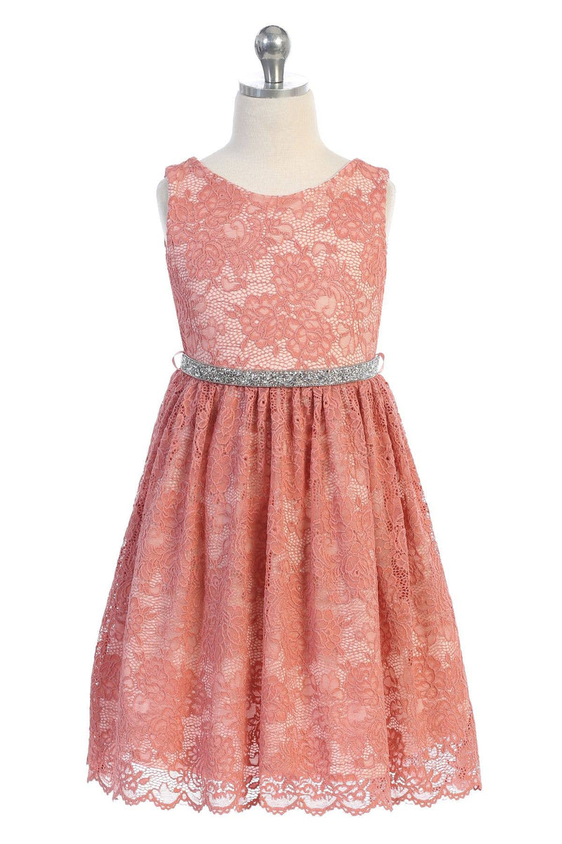 Coral Stretch Lace Dress